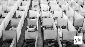 Historia: Espanjantauti, tappava pandemia (12) (12): 30.09.2019 06.00