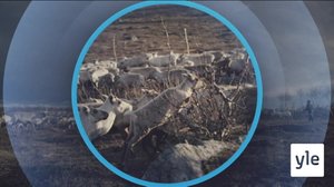 Oddasat: 02.10.2019 22.00