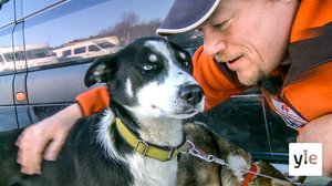 Lars Monsenin koiravaljakko: 10.10.2019 06.00