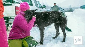 Lars Monsenin koiravaljakko: 10.10.2019 06.00