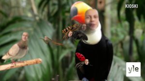 6 HUIKEAA SADEMETSISTÄ TEHTYÄ LÖYTÖÄ: 10.10.2019 10.34