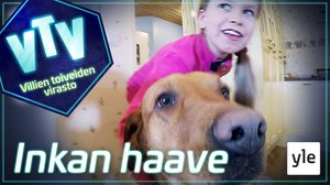 Inkan haave: 16.10.2019 10.00