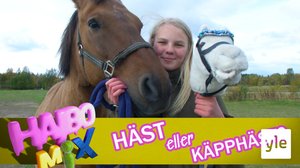 Häst eller käpphäst? (S): 16.10.2019 14.00