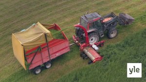 Rehusilppuri: 26.10.2019 10.00