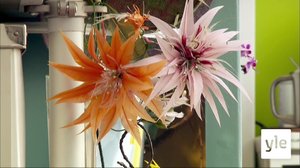 Mittatilaustyönä: 29.10.2019 00.01