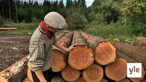 Tanskalainen maajussi : 31.10.2019 09.30