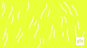 . (S): 01.11.2019 06.00