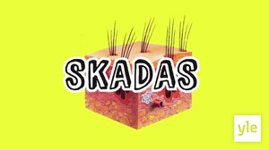 . (S): 01.11.2019 06.00