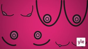 . (S): 01.11.2019 06.00