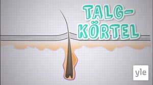 . (S): 01.11.2019 06.00