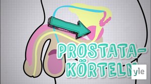 . (S): 01.11.2019 06.00