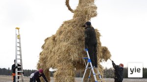 Nelimetrinen kekripukki nousi savolaispellolle: 31.10.2019 11.38