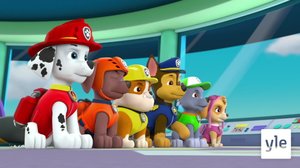 Kajan yölento / Pennut kultamailla (S): 03.11.2019 08.19