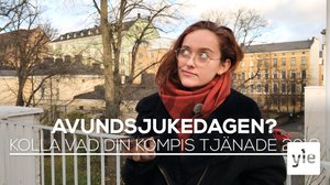 Vad tjänar din kollega? Så här lätt är det att kolla upp alla finländares inkomster: 03.11.2019 17.00