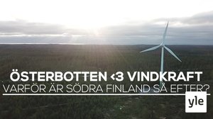 Varför har Österbotten mest och Nyland minst vindkraft i Svenskfinland?: 09.11.2019 09.00