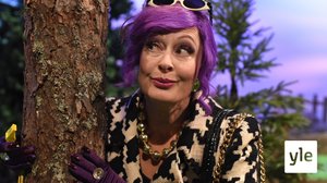 Pipsan pulma (S): 14.11.2019 18.00