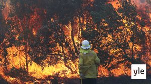 Australian maastopalot uhkaavat jo Sydneyn aluetta: 12.11.2019 10.53