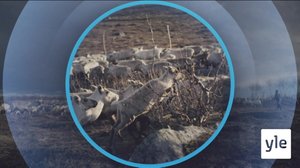 Oddasat: 13.11.2019 22.00