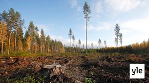 VTT esittelee Suomen keinoja hiilineutraaliuden saavuttamiseksi: 15.11.2019 15.12