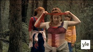 Rajametsän tarinoita: Suursiivous (7): 16.11.2019 01.09