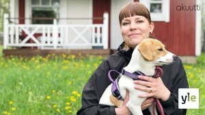 Kuukautisten pimeä puoli: 17.11.2019 00.01