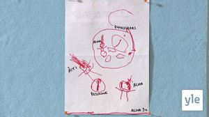 Auttaminen 4/4: 22.11.2019 07.28