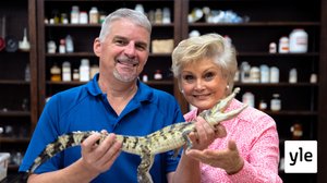 Prisma: Totuus antibiooteista: 25.11.2019 06.00