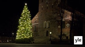 Valtakunnan ykköskuusi kaadetaan Maskusta: 27.11.2019 10.13