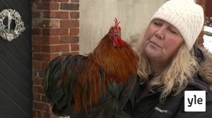 Pisara: 30.11.2019 09.00