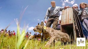 Luontomatkalla: 30.11.2019 06.00