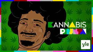 Kannabis (16): 29.11.2019 21.45