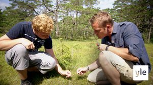 Luontomatkalla: 14.12.2019 06.00