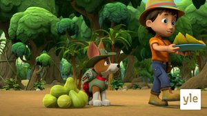 Pennut pelastavat papaijat / Pennut siiloa pelastamassa (S): 15.12.2019 08.06