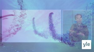 A-studio viittomakielelle tulkattuna: 11.12.2019 15.45