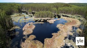 Majavalammen vieraat: 16.12.2019 00.01