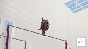 Rekki (S): 14.12.2019 01.00