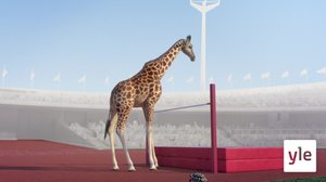 Korkeushyppy (S): 14.12.2019 01.00