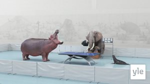 Pöytätennis (S): 14.12.2019 01.00