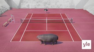 Tennis (S): 14.12.2019 01.00