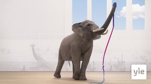 Rytminen voimistelu (S): 14.12.2019 01.00