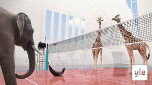 Lentopallo (S): 14.12.2019 01.00