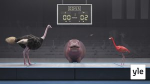 Miekkailu (S): 14.12.2019 01.00