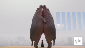 Judo (S): 14.12.2019 01.00