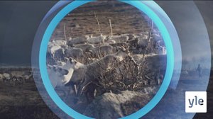 Oddasat: 12.12.2019 22.00