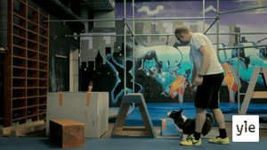 Parkouraavat koirat: 14.12.2019 10.00