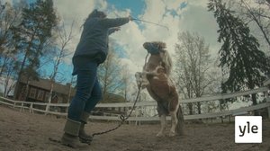 Itsepäinen miniheppa: 14.12.2019 10.00