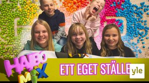 Ett eget ställe: 13.12.2019 15.50