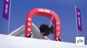 Flamingoportti (S): 21.12.2019 01.00