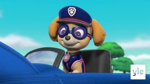 Huipputehtävä: Pennut ja majesteettikissat (S): 22.12.2019 08.07