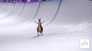 Halfpipe (S): 21.12.2019 01.00